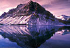 Crowfoot Mountain reflected in Bow Lake, Banff National Park.