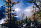 Fog softened larches , and Mounts Lefroy and Victoria, from Big Beehive, Banff National Park.