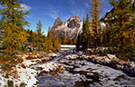 Early freeze with larches, Opabin Plateau, Yoho National Park.