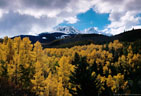 Early Winter storm momentarily breaks, revealing Mears and Hayden Peaks - from old Blaine Basin Mine Road.