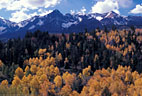 Fall colors hilight the view of Hayden Peak, along the road to West Dallas Creek.