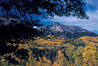 Wilson Peak, and a tapestry of aspens, from the Rim Trail at Sunshine Campground, near Telluride.