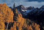 Late evening light on Aspens and the north face of Cirque Mountain, from the access road to East Dallas Creek.