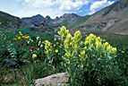 The dominant paintbrush is a combination of light green and yellow, making attractive a view of mountains to the north of clear Lakes.  