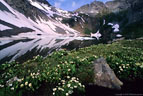 Upper Clear Lake, lingering ice, and a stand of Marsh Marigold.