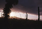 Low sun and storm filled skies and an asterism in a Valida Yucca.