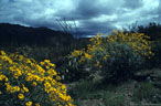 Superstition Mountains and the Apache Trail