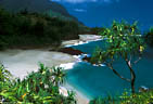 March - Lumahai Beach on the Hawaiian island of Kauai, with a foreground of Panandus trees.