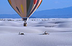 'Snow Princess', Dan Williams, Edgewood, New Mexico