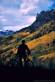 Mountain biker admires fall colors at the Falls Creek Overlook, Camp Bird Road.
