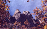 High in Indian Hollow, Oaks in fall colors frame a scene of Artemis' Temple and the  southeastern faces of the Organ Needle.