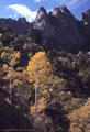 Nostalgia - Autumn Aspen and Oaks, and the sweep of Atremis' Temple and the east face of the Organ Needle.