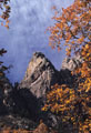 Artemis' Temple with a fringe of autumn Oaks,  from the high route through Indian Hollow