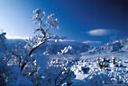 Snow scene with Rabbit Ear Spires in the distance, access road to Aguirre Springs Recreation Area