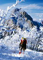 Backpacker on route to Organ Peak, with Organ Needle in the Background