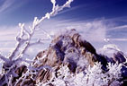 The Organ Needle, from high on the route to Organ Peak.