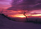 Sunset on a high ridge of the Organ Mountains