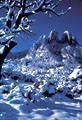 Rabbit Ear Spires from Baylor Pass Trail, Aguirre Springs Recreation Area