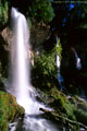 Rifle Falls, at Rifle Falls State Park, northeast of Montrose.