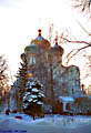 Snow, birches, and Smolensk Cathedral - Moscow, Russia