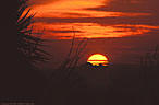 A Chihuahuan Desert sunset, Organ Mountains, New Mexico