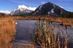 October - Warm autumn tones at Vermillion Lakes, Banff National Park, Alberta, Canada