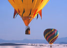 LtoR:  'Helen's Fault', Phillip and Sally Heinrich, Phoenix, Arizona; 'Arizona Dawn', Tom Connolly, Glendale, Arizona