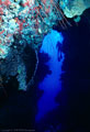 A Scuba diver enters underwater cave, The Hook, Grand Cayman Island, BWI